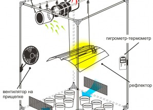 Аксессуары в Гроубокс 400W HQ